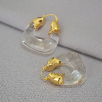 Elegant Gold and Lucite Hoops